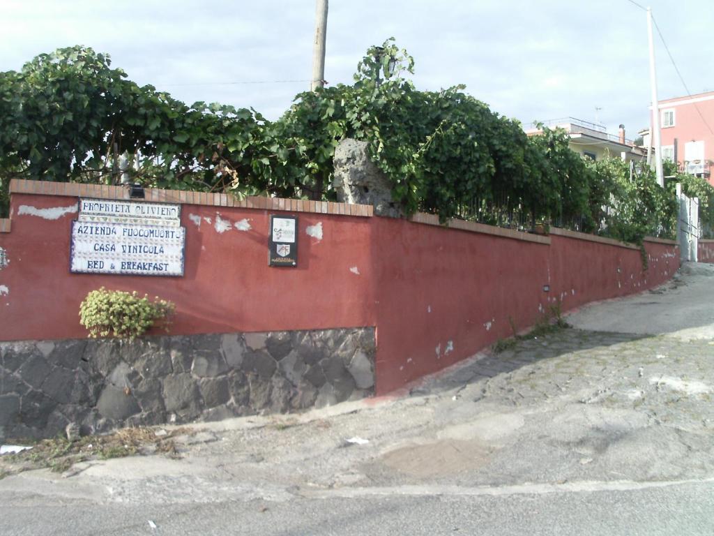 Bed & Breakfast Fuocomuorto Ercolano Exterior foto