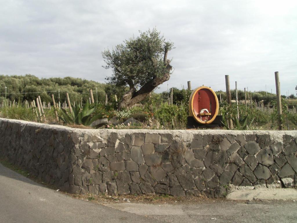 Bed & Breakfast Fuocomuorto Ercolano Exterior foto