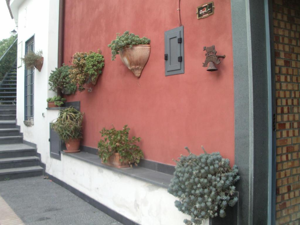 Bed & Breakfast Fuocomuorto Ercolano Exterior foto